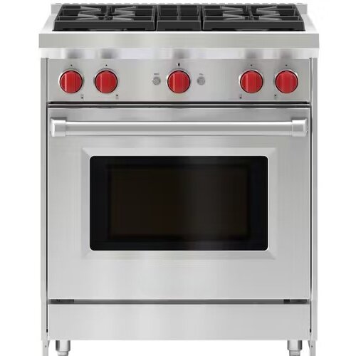 Multi Fuel Outdoor Gas Oven